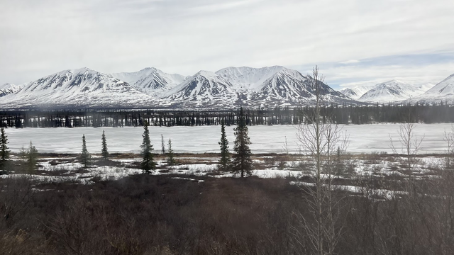 Visiting-Denali