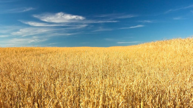 Ukrainian-Culture-and-Media